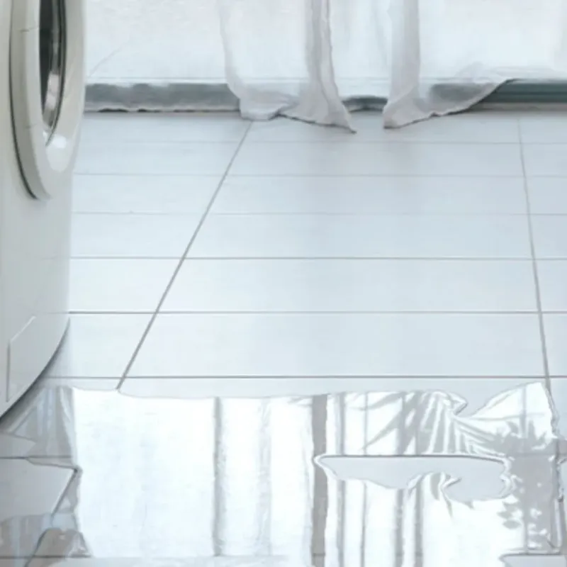 Appliance Leak Cleanup in Evart, MI