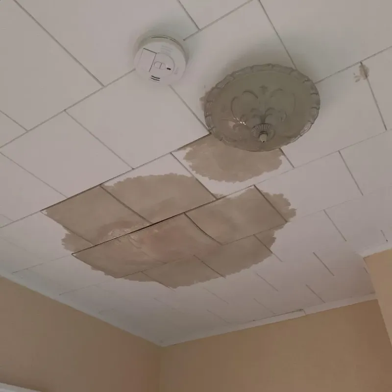 Ceiling Water Damage Repair in Evart, MI