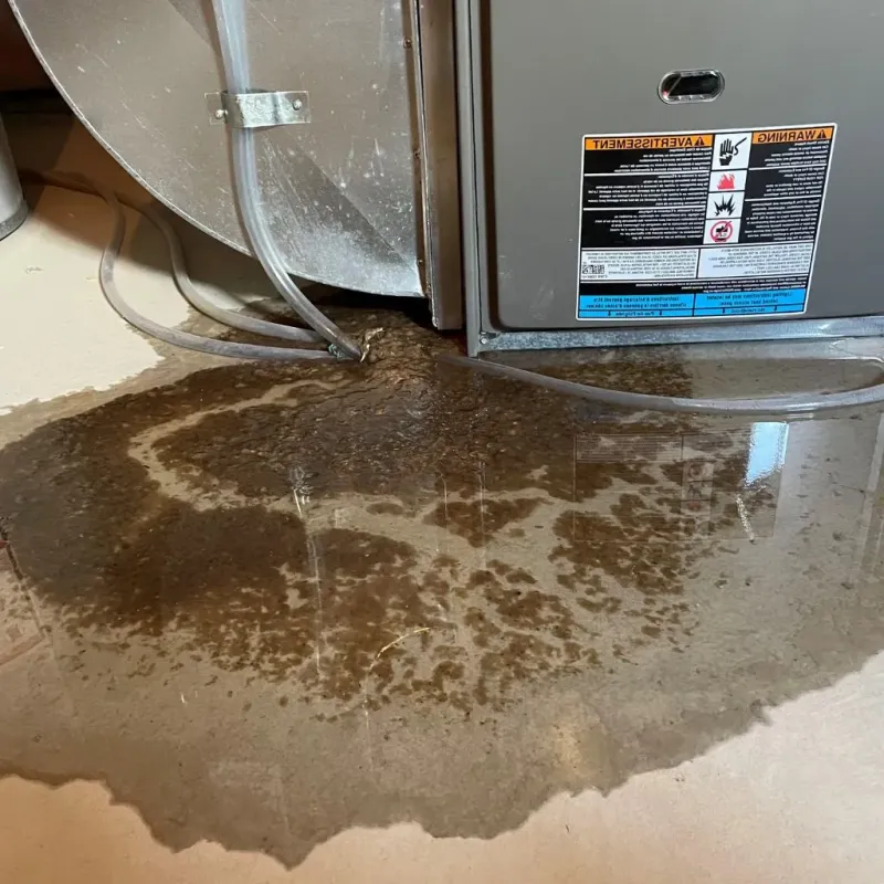 Pipe Burst and Leak Restoration in Evart, MI