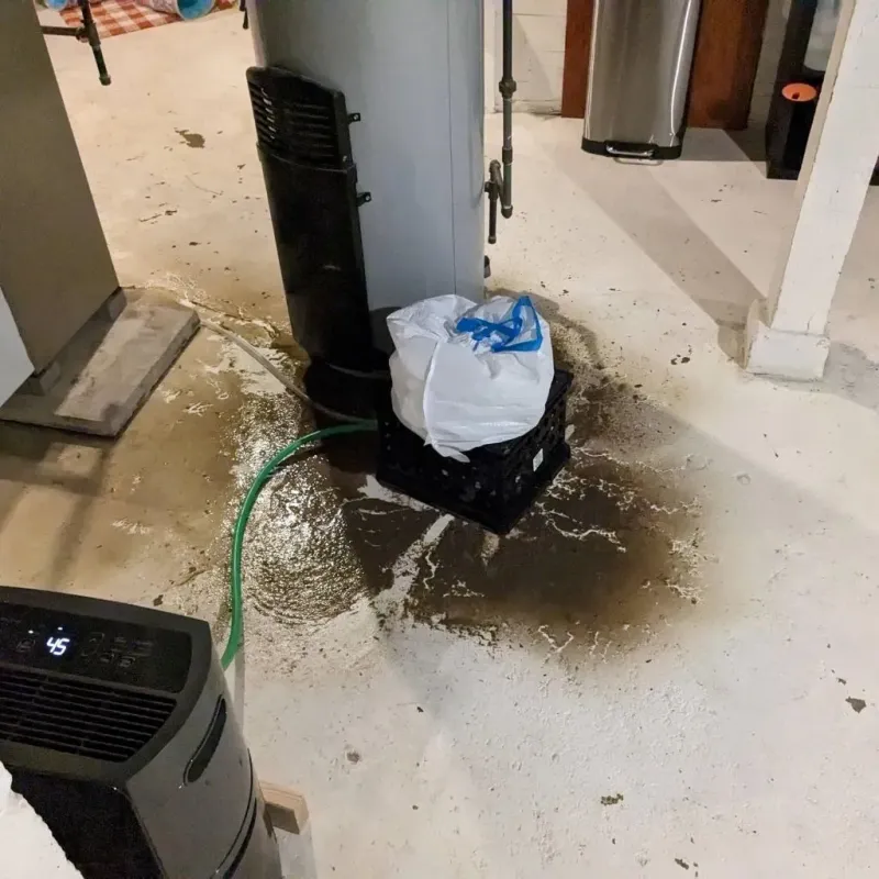 Sewage Backup Cleanup Service in Evart, MI